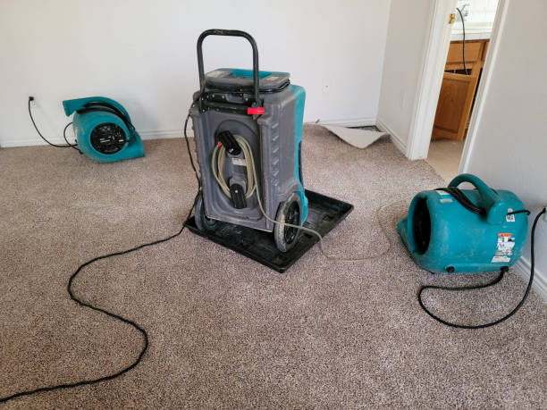 Best Local water damage restoration  in Pelham, AL