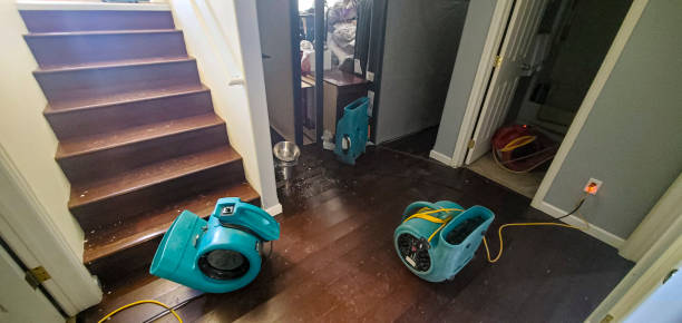 Best Water damage restoration insurance claims  in Pelham, AL