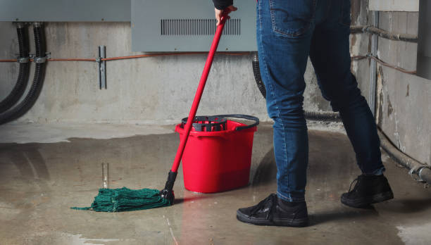 Best Sewage cleanup and water damage restoration  in Pelham, AL