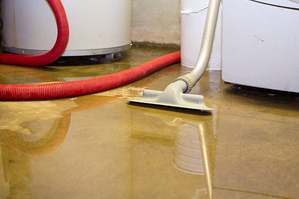 Best Fire Damage Restoration  in Pelham, AL