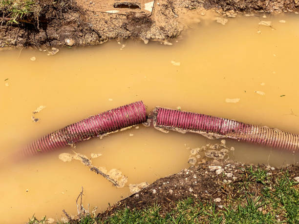  Pelham, AL Water damage restoration Pros