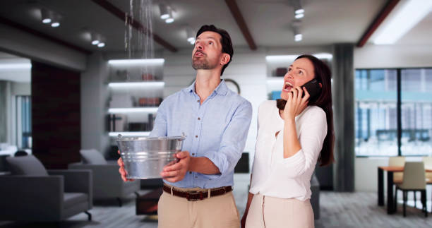 Best Water damage contractors near me  in Pelham, AL