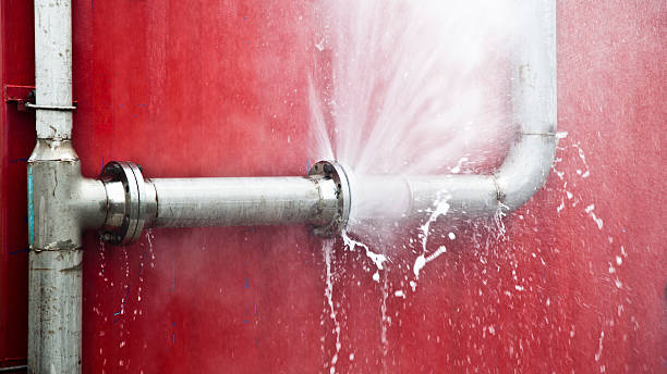 Best Carpet water damage restoration  in Pelham, AL